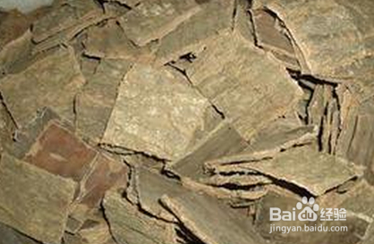 肾虚腰痛怎么治