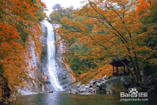 武汉到天堂寨旅游攻略