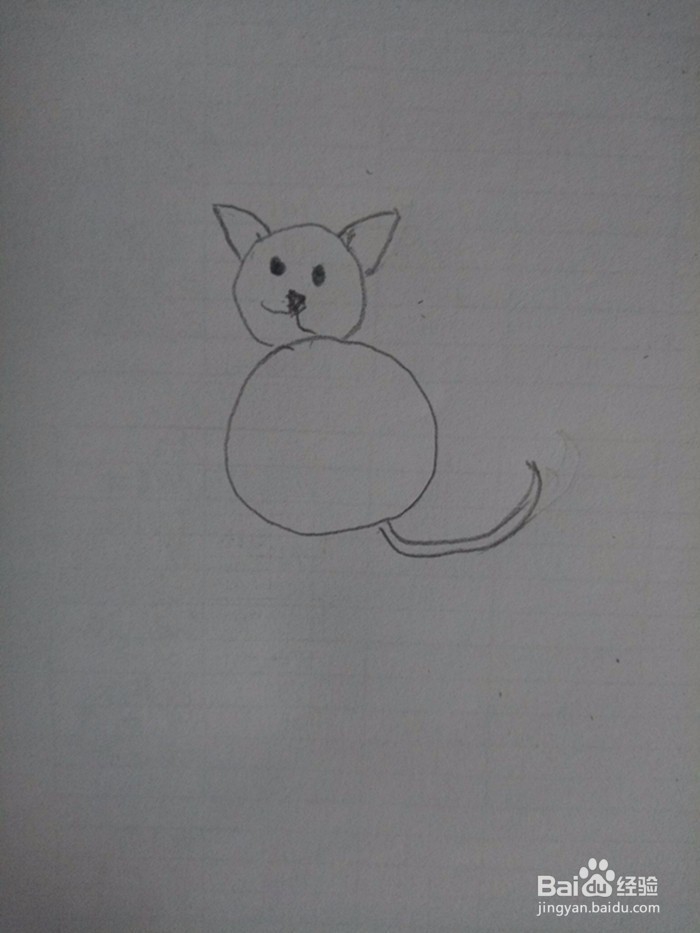 猫咪的简笔画
