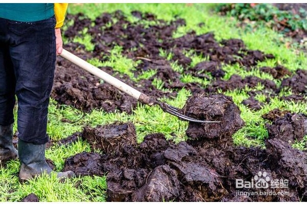 农村废树枝有什么妙用？