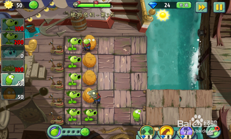 植物大战僵尸2攻略【海盗湾 植物危机 第3天】