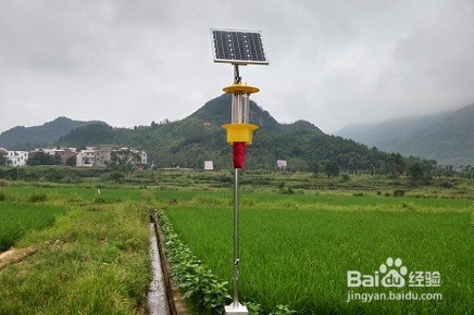 如何科学合理的使用农田杀虫灯