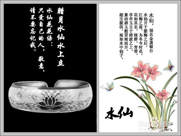 花的语言你都了解吗