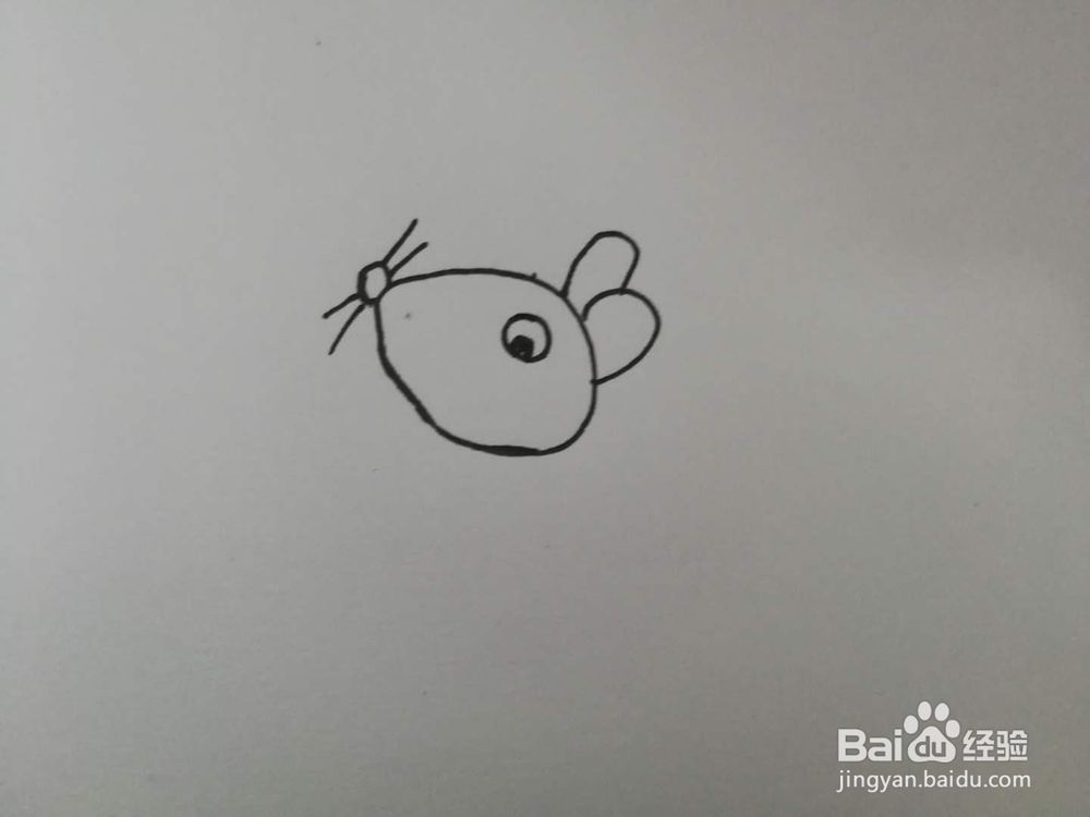 简笔画调皮的小老鼠