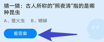 古人所称的“照夜清