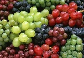 近视吃什么好，视力不好吃什么？2015