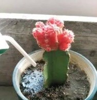 宝宝喝剩下的奶粉如何处理？