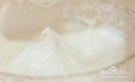 戚风蛋糕的做法
