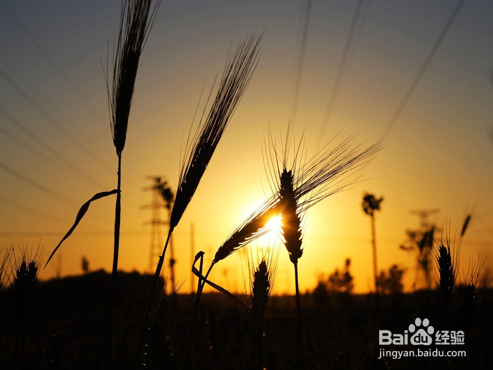 公司集体罢工怎么办