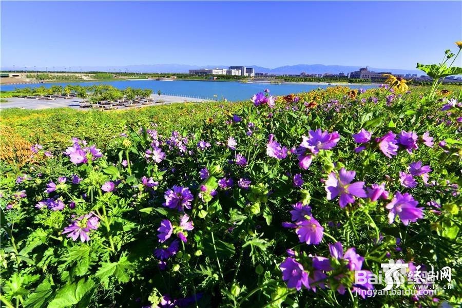 北京到新疆自驾游攻略