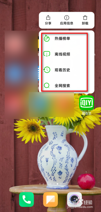 爱奇艺怎么更换桌面快捷方式？