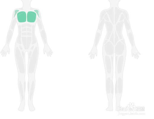 俯卧撑入门锻炼
