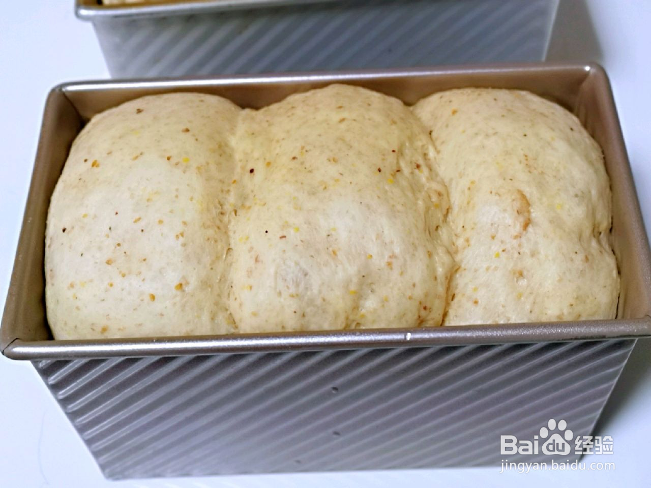 亚麻籽全麦吐司的做法