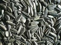 养生 七类丰胸营养食物让你拥有傲人双峰