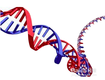 给宝宝讲大人的世界：我是从哪来的