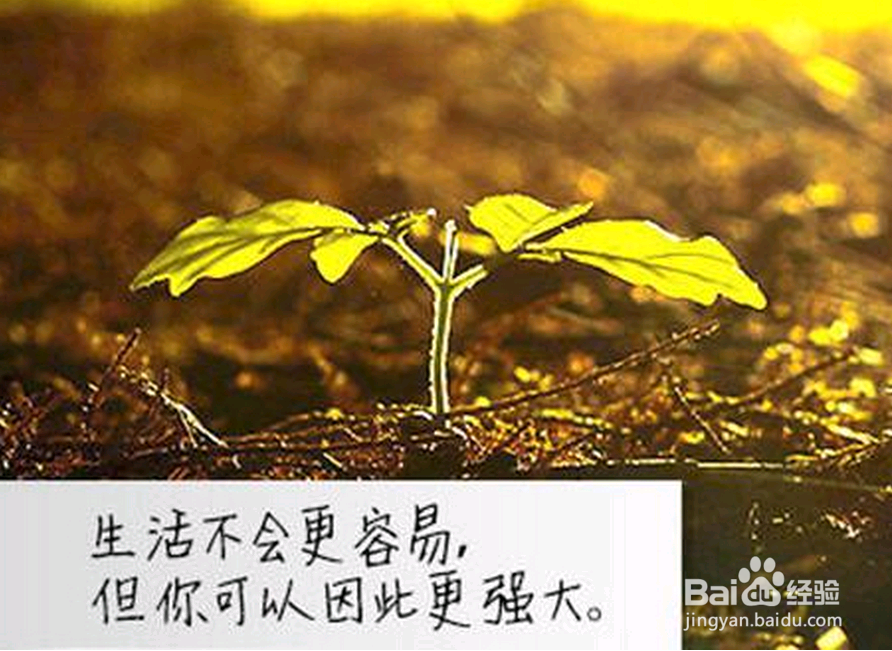 教你7个让自己更优秀的秘诀,掌控自己的未来!