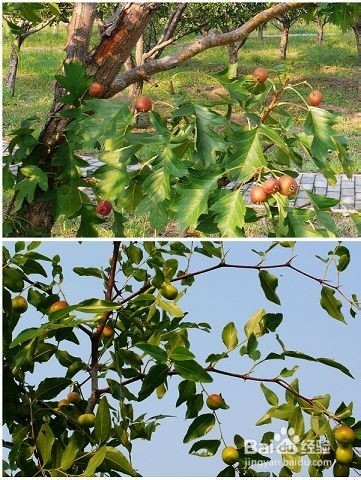 颐和园风光游览技巧