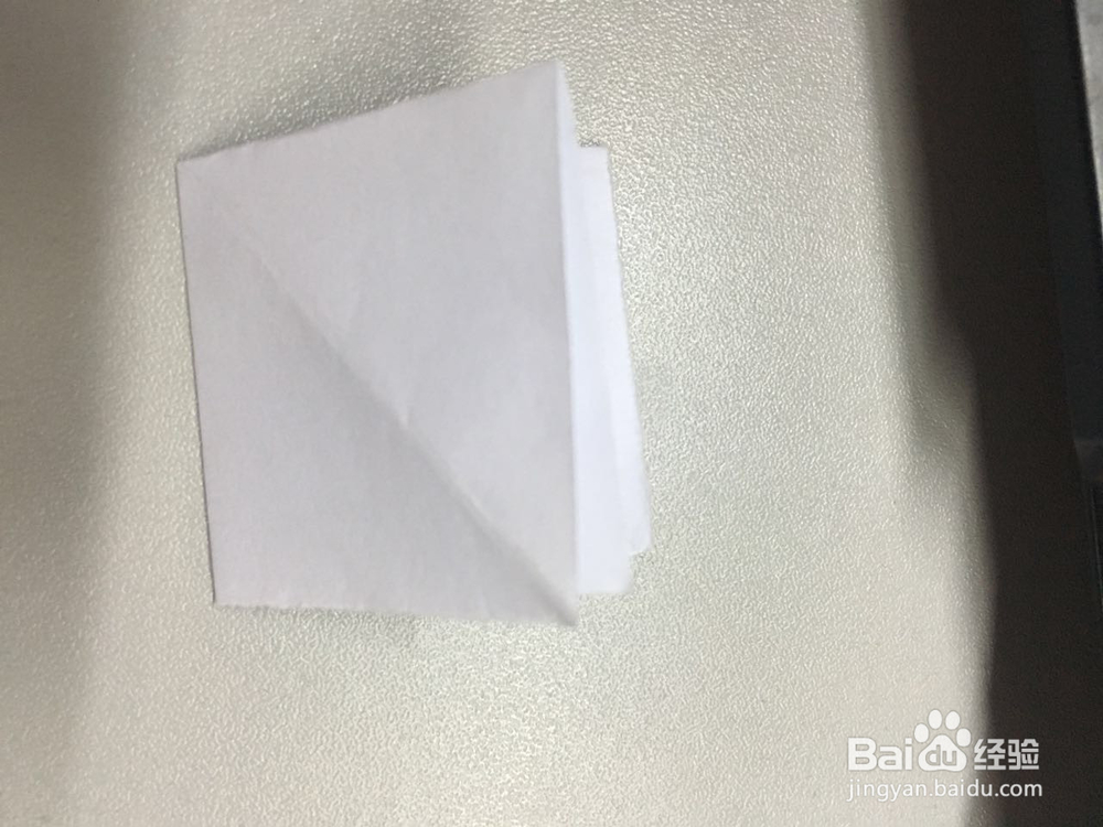 小萌物－－兔兔