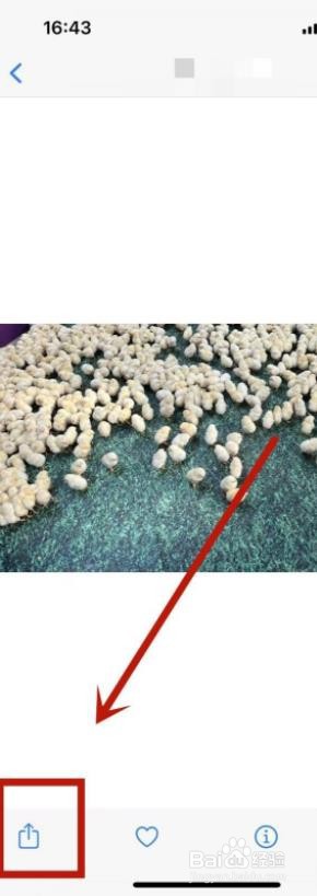 苹果怎么设置隐私相册?