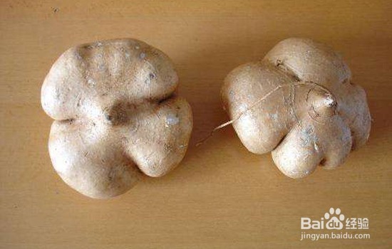 凉薯热量高吗 吃凉薯会胖吗