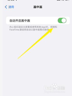 苹果手机怎么开启画中画功能
