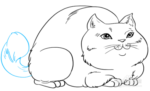 怎么画慵懒的大胖猫?