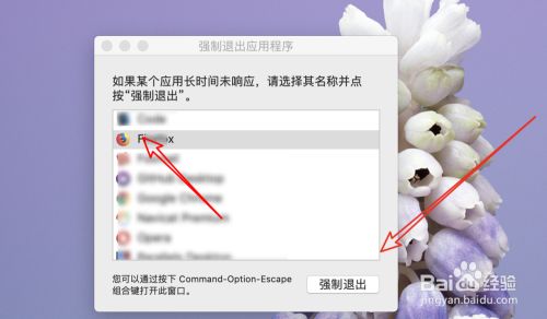 苹果电脑mac怎么打开任务管理器？