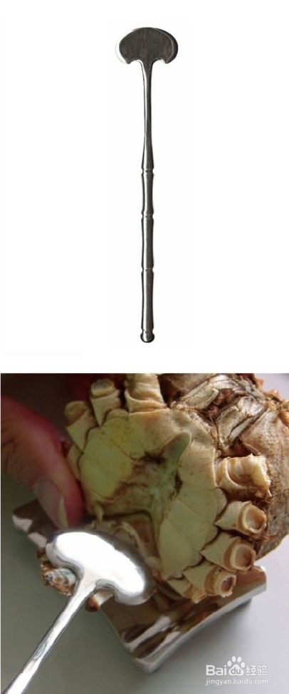 体验蟹八件“文吃”螃蟹!