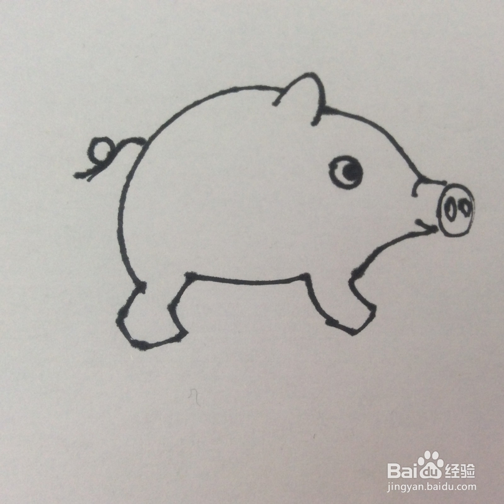 怎么画猪的儿童画？猪的儿童画怎么画呢？