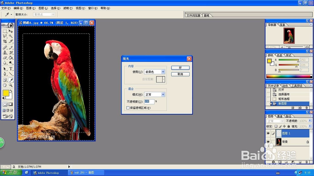 Photoshop填充滤镜