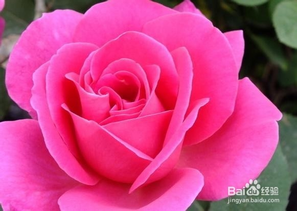 让你一生难忘的话 3