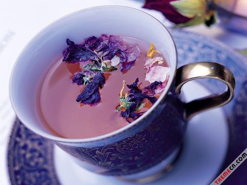 越喝越窈窕的10种健康茶