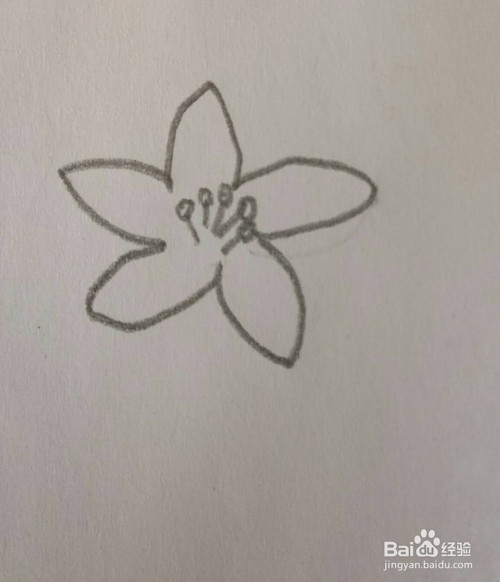 儿童简笔画花画法3