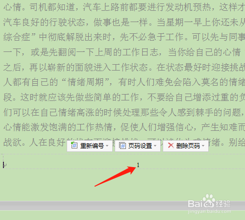 办公软件怎样修改页码格式