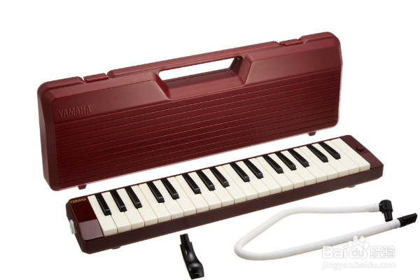 口风琴指法入门