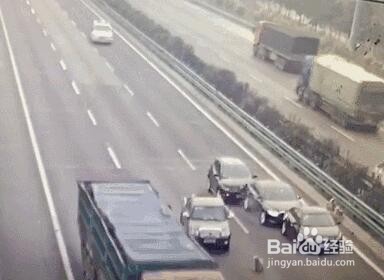 汽车撞动物怎么处理