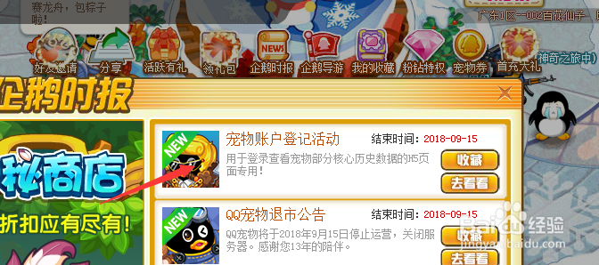 QQ宠物退市怎么办