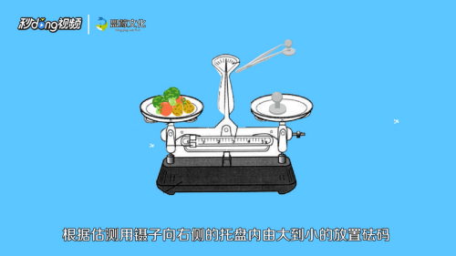 托盘天平怎么使用