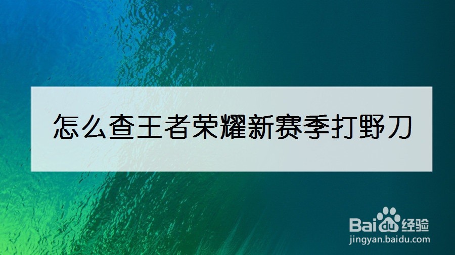 怎么查王者荣耀新赛季打野刀