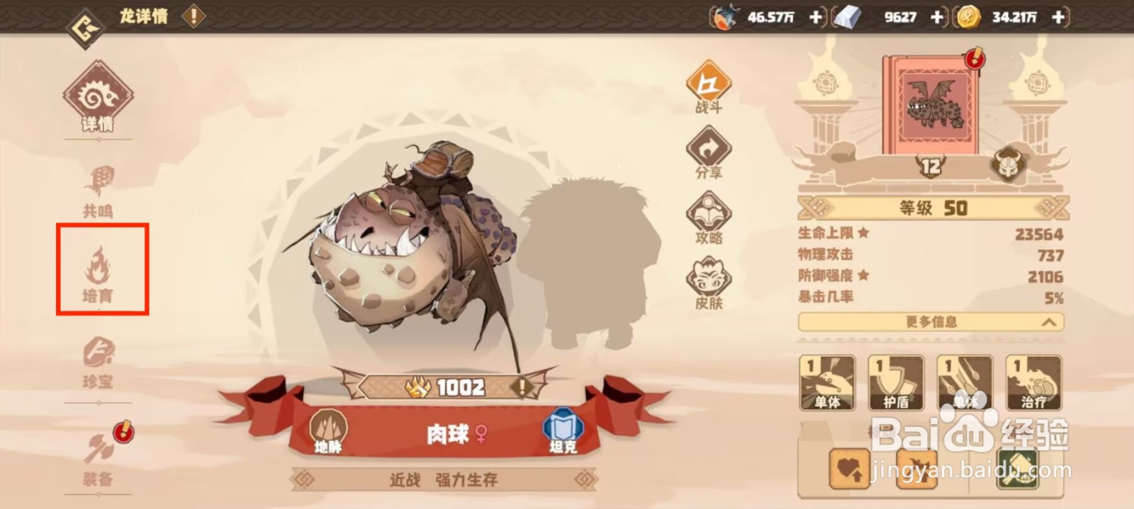 驯龙高手旅程在哪儿查看肉球天赋评分？