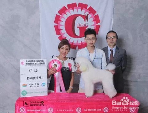 宠物美容学多久