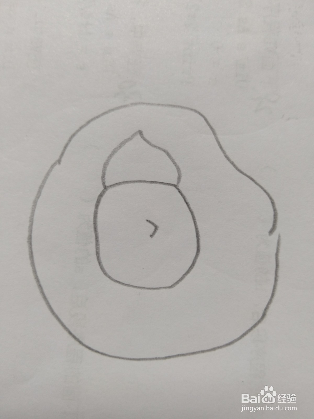 儿童简笔画西红柿的画法2