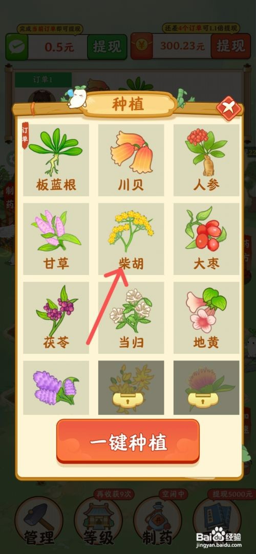 神农世家如何在农田种植柴胡药材