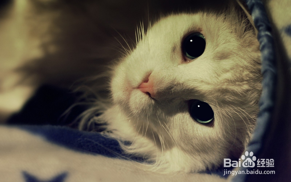 怎么穿高跟鞋舒服