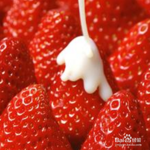 草莓定植后的管理技术