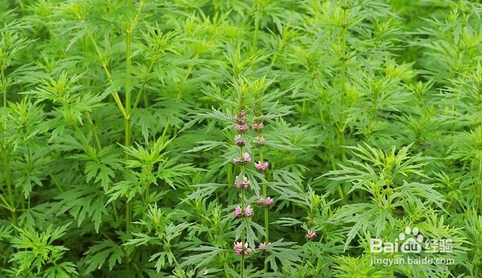 吃的好脸自然好