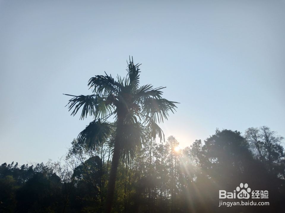 如何形成好的公共生活