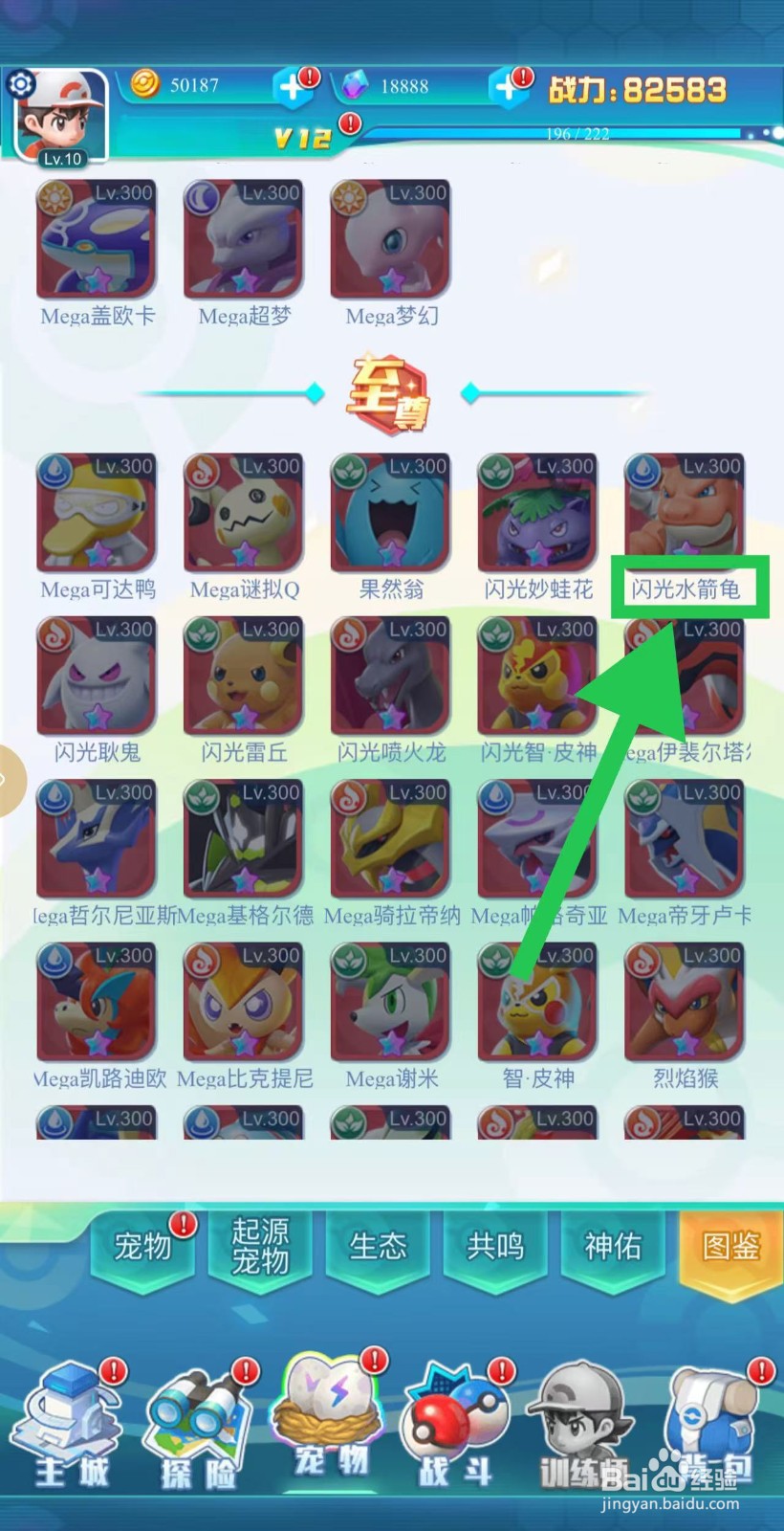 英雄魔法门如何查看闪光水箭龟的更多属性