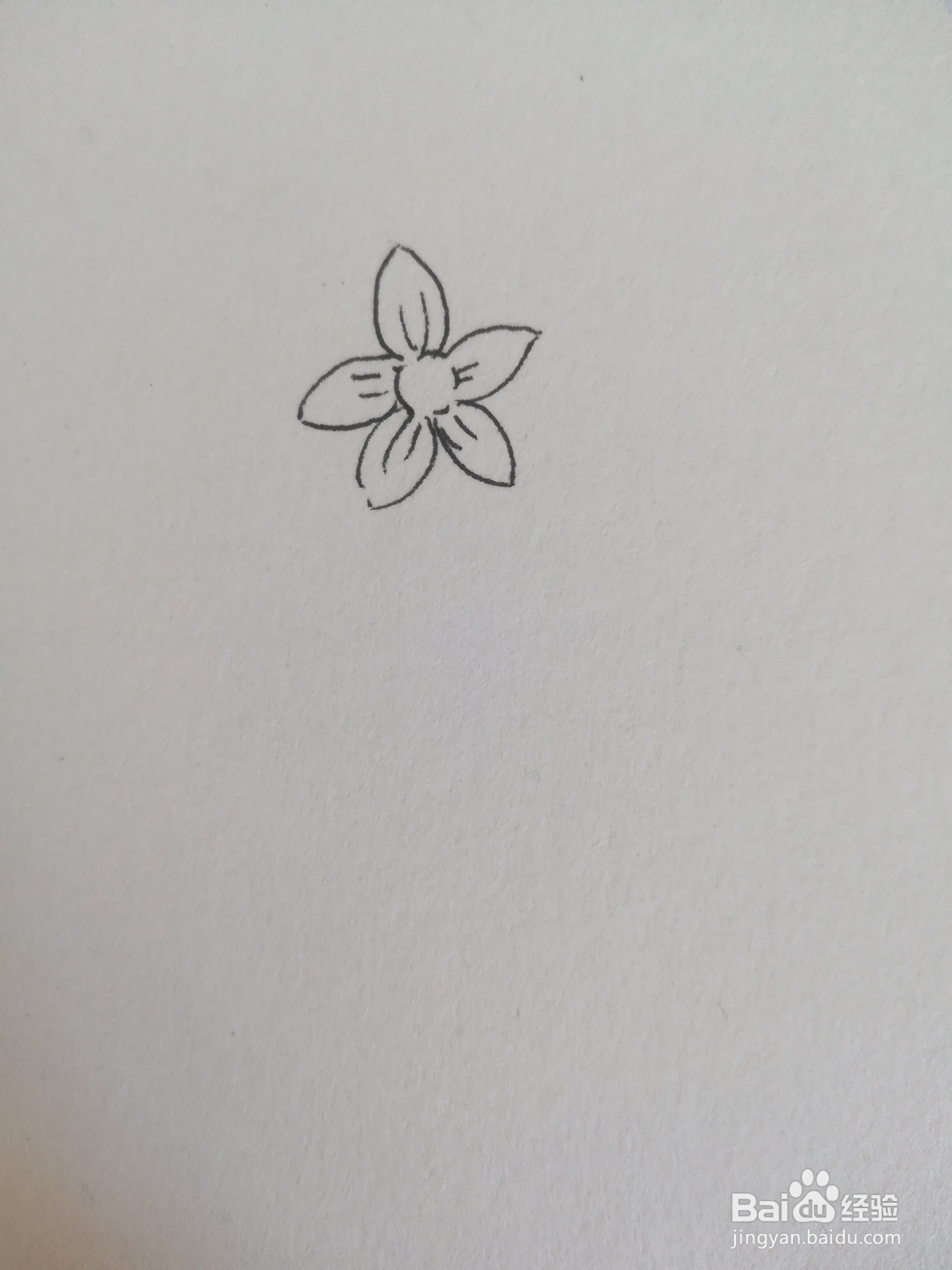 玲娜贝儿怎么画