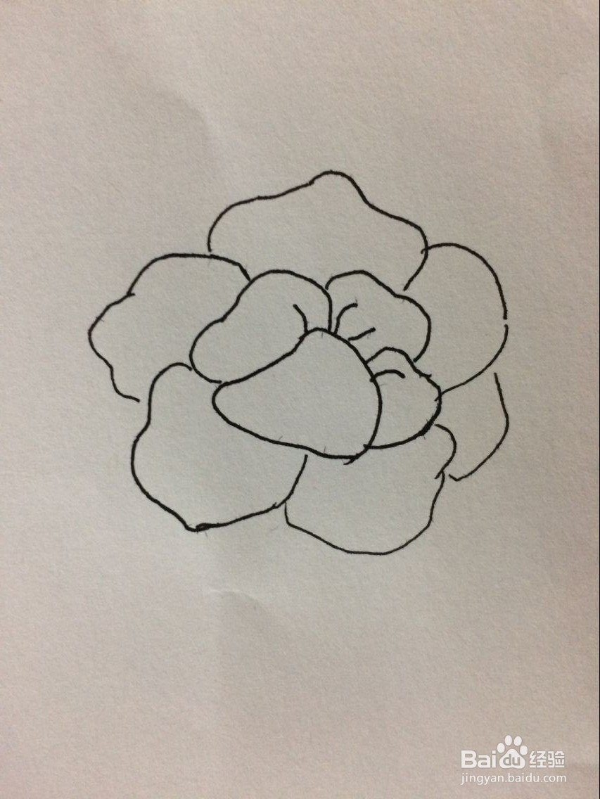 怎样手工画牡丹